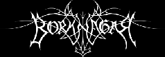 Borknagar